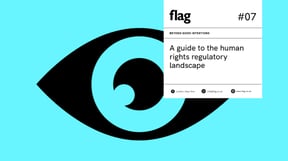 A guide to the human rights regulatory landscape