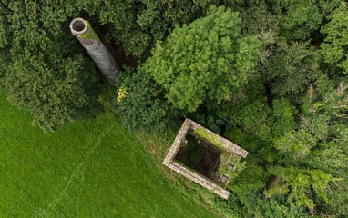 Aerial view of building and trees